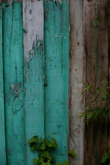 texture of old green paint on a wooden fence