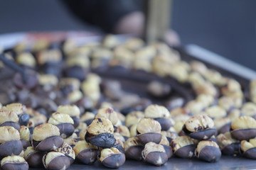  sellers selling chestnuts on the street