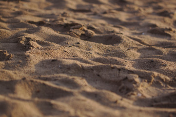 Sand