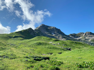 Fototapeta na wymiar Abkhazia, plateau Arabica and mountain Arabica in summer day