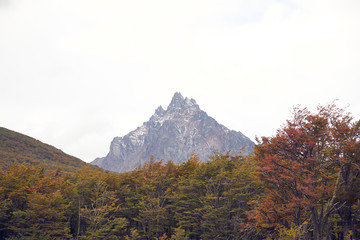 Montaña y arboles en Ushuaia
