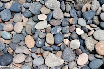 Rocks