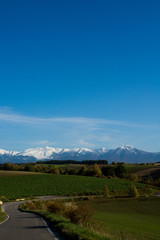 Naklejka premium 秋の畑作地帯と冠雪の山並み