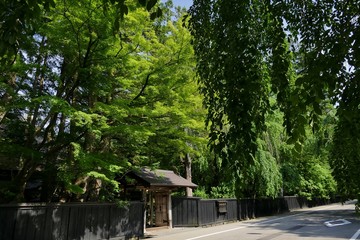 《角館の夏》秋田県仙北市