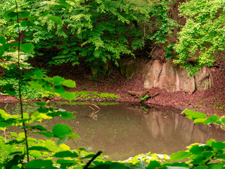 Hidden small forest lake, in the background is revealed a piece of rock. View framed by a small bush.