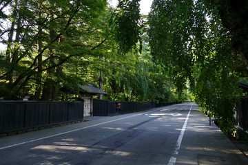 《角館の夏》秋田県仙北市