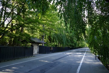 《角館の夏》秋田県仙北市