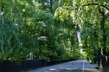 《角館の夏》秋田県仙北市