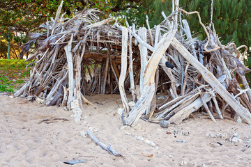 Fun Shelter On The Beach Made Of Driftwood And Palm Leaves