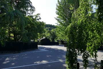 《角館の夏》秋田県仙北市