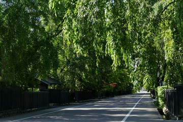 《角館の夏》秋田県仙北市