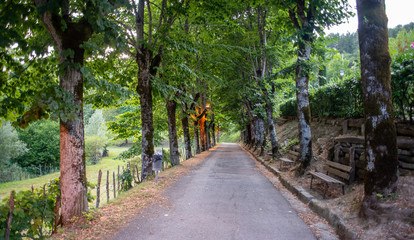 Fototapeta premium Passeggiata del Chiardovo