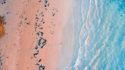 Aerial View of Australian Beaches and Coastline of the Great Ocean Road