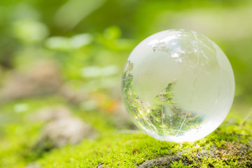 Close up of glass globe in the forest.