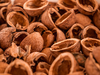 Plenty of open walnut shells - shallow depth of field