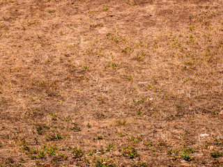 Dry lawn - high temperatures and a lack of rain in Europe