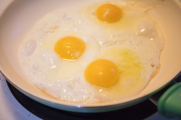 poached eggs