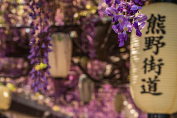 Obraz premium Refreshing Osaka Prefecture in Japan