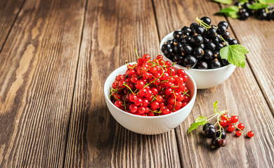 Fresh ripe red black currant berry in white bowls on wooden background. Horizontal frame.