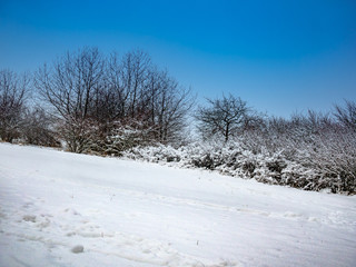 Winter landscape under blue sky