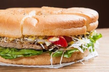 American Hamburger on Plate