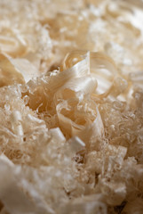 Pine wood shavings