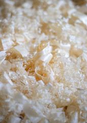 Pine Wood Shavings