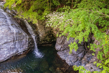 Refreshing Wakayama Prefecture Japan