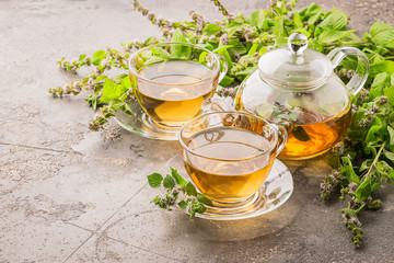 Tea with fresh leaves of lemon mint cup and teapot gray background. Healing herbal drink....