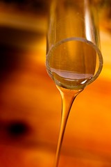 Harvesting honey from a bee colony