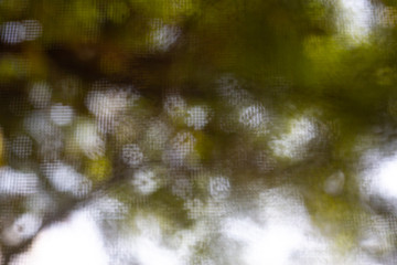 Bokeh Rain drops, Blur Water drops on mirror in bokeh green garden background, Blurred mosquito wire screen, Close up & Macro shot, Selective focus, About Morning, Rainy day concept