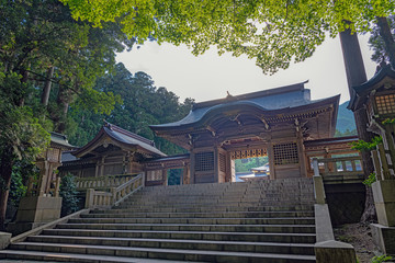 新潟 弥彦神社 随神門