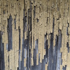 texture of old wooden wall