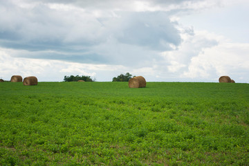 Hay bales in green hay field farm land