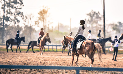 young girl is training to ride a horse horse is in the practice field - obrazy, fototapety, plakaty