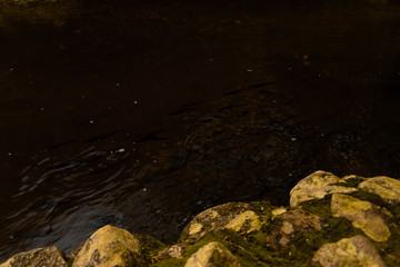 Looking at the water.