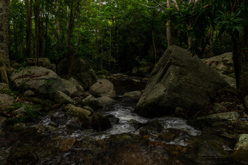 Looking at waterfalls in the forest.