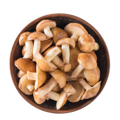 Fresh forest mushrooms in clay Cup isolated on white background. The view from the top.