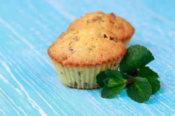 Two cupcakes on aquamarine background