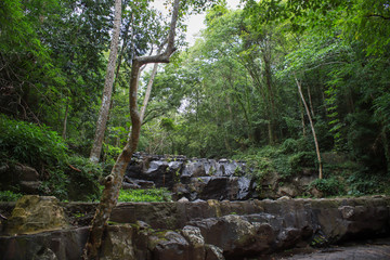 waterfall in the forest