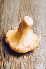Wild chanterelles mushrooms on the rustic wooden background. Selective focus. Shallow depth of field.