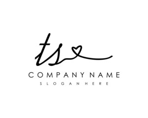 TS Initial handwriting logo vector