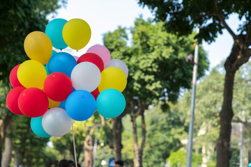 Fototapeta na wymiar Colourful balloons on park with trees on background