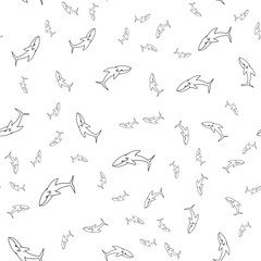 Seamless pattern of outline shark. Seamless pattern of shark, great design for any purposes. Vector outline illustration. Hand drawn doodle illustration. Hand drawing. Silhouette symbol