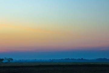 Fototapeta na wymiar sunset over Field