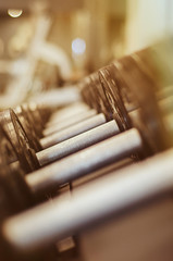 row of dumbbells in the gym, sports equipment