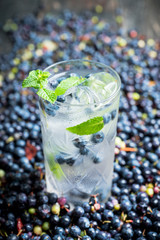 Blueberry mojito cocktail. Selective focus. Shallow depth of field.