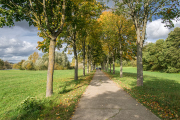 Fototapeta na wymiar Autumn bicyclists on beautiful tree lined bike path in northern france