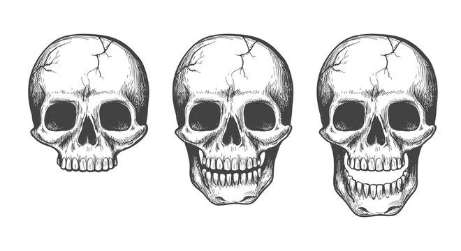 Skull face sketch set