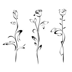 flower bud on a high stalk with leaves and curls in black lines on a white background. SET